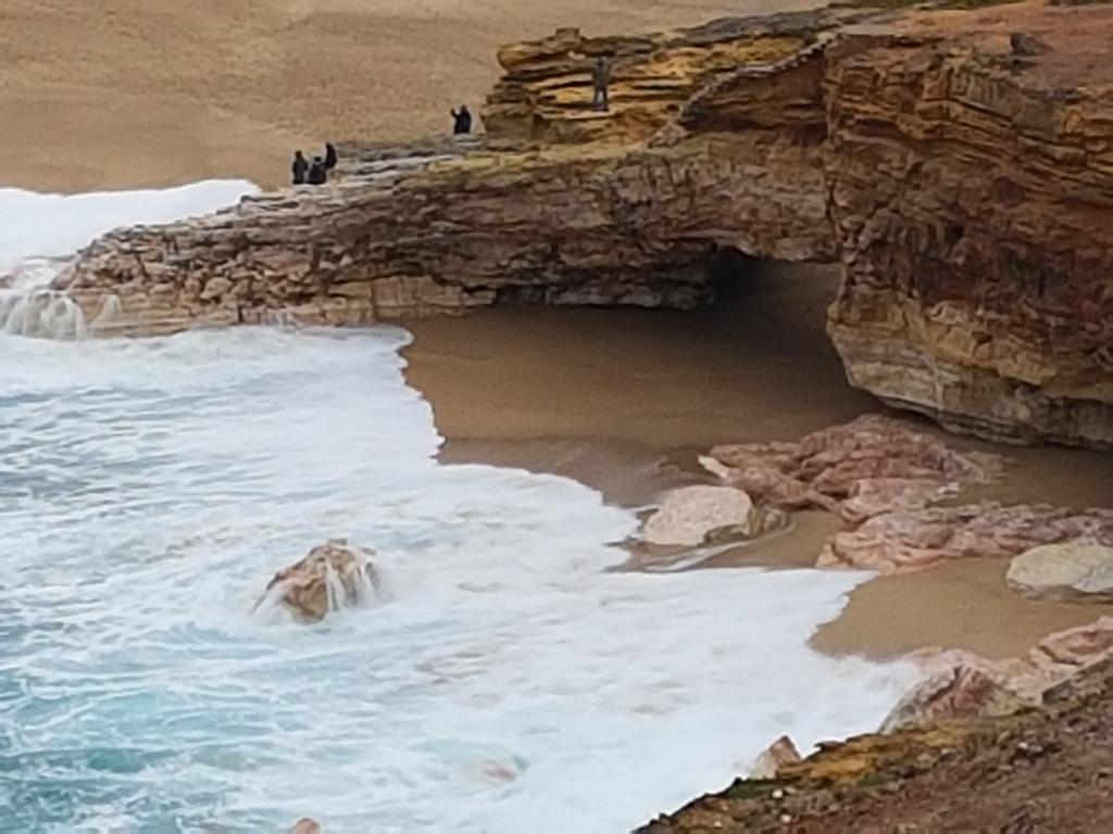 O Paraiso No Terraco