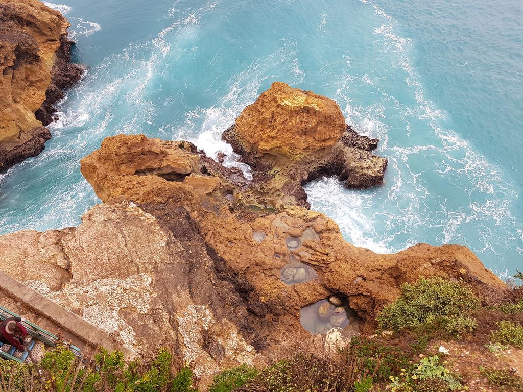 O Paraiso No Terraco