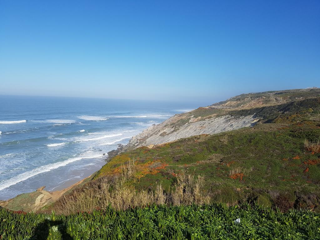 O Paraiso No Terraco Foz do Arelho